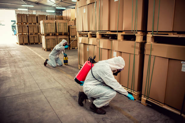Best Cockroach Control Services  in Leland Grove, IL