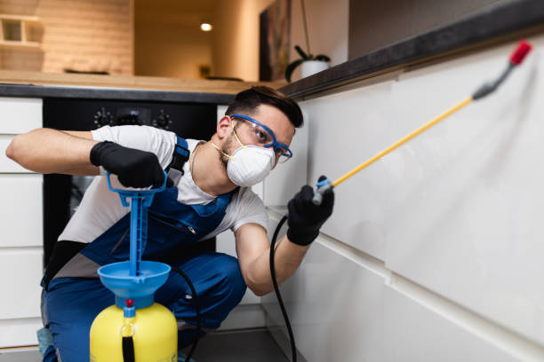 Best Pest Prevention Services  in Leland Grove, IL