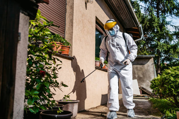Best Emergency Pest Control  in Leland Grove, IL