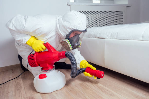 Best Flea Control Services  in Leland Grove, IL