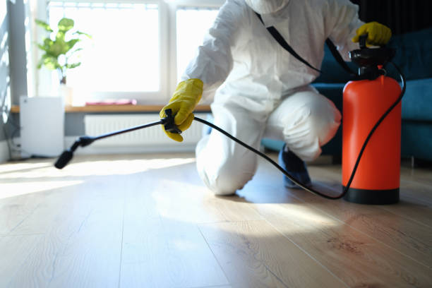Flea Control Services in Leland Grove, IL