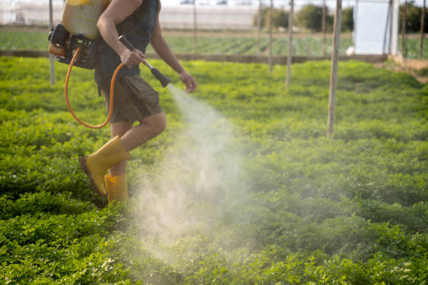 Best Best Pest Control Near Me  in Leland Grove, IL
