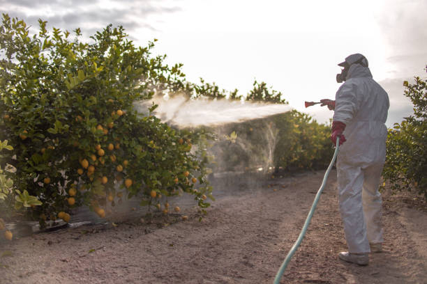 Leland Grove, IL Pest Control Company