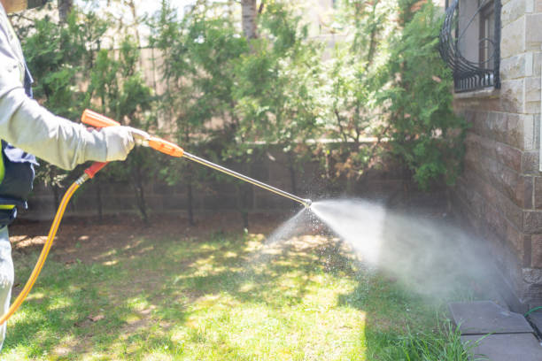 Professional Pest Control in Leland Grove, IL
