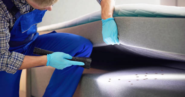 Best Best Pest Control Companies  in Leland Grove, IL