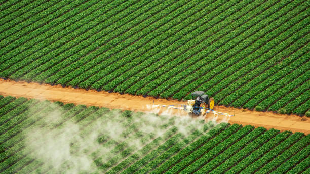 Best Local Pest Control Services  in Leland Grove, IL