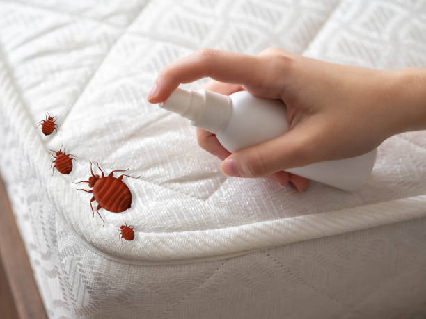 Best Pest Control Cost  in Leland Grove, IL