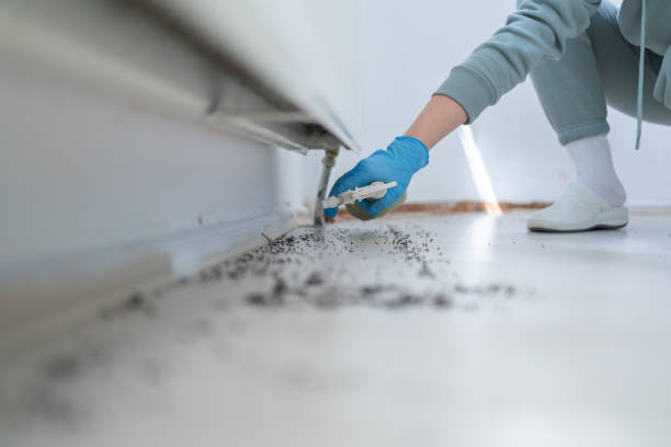 Best Affordable Pest Control Services  in Leland Grove, IL