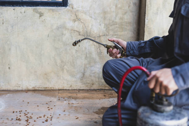 Best Pest Removal Services  in Leland Grove, IL